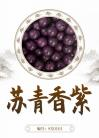Su Qingxiangzi