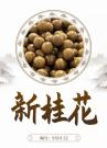 Osmanthus fragrans